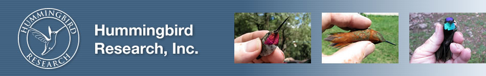 Hummingbird Research banner